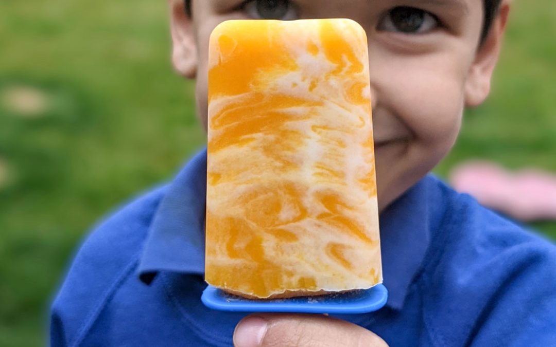 Mango Coconut Lolly